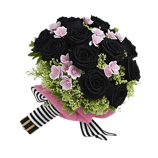 Blushing Rose Symphony