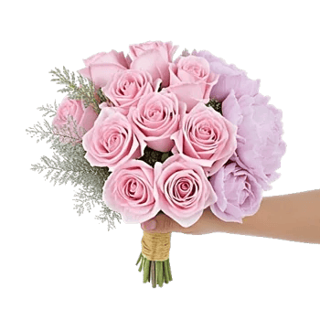 Pastel Pink Roses