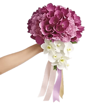 Orchid Bloom Cascade