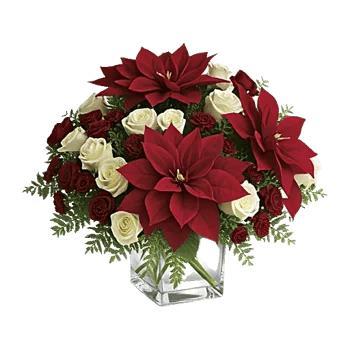 Petal Radiance Bliss