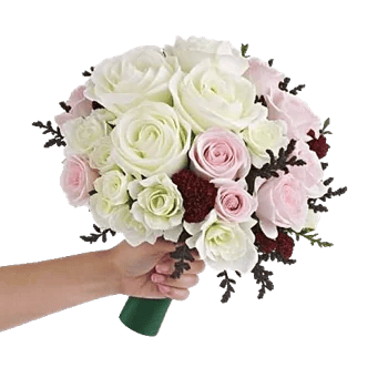 Delicate Petal Cascade