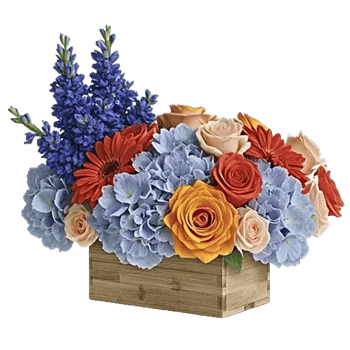 Sapphire Bloom Whisper