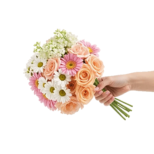 Blossom Harmony Display