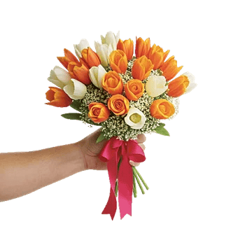 Velvet Tulip Display