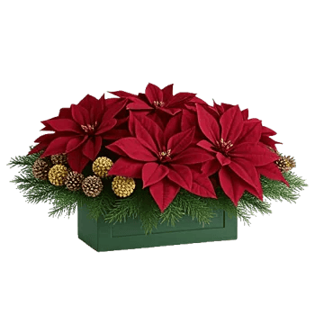 Petal Radiance Bliss