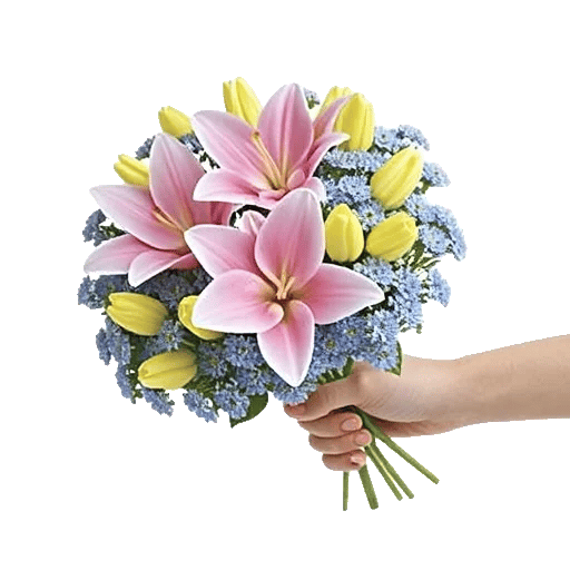 Blossom Harmony Display