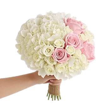 Ivory Blossom Radiance