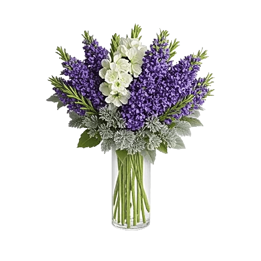 Lavender Bloom Grace