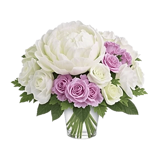 Petal Radiance Bliss