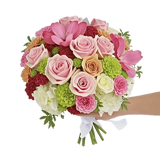 Pastel Pink Roses