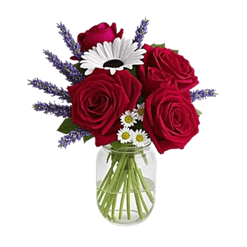 Crimson Rose Elegance