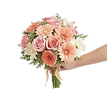 Pastel Pink Roses