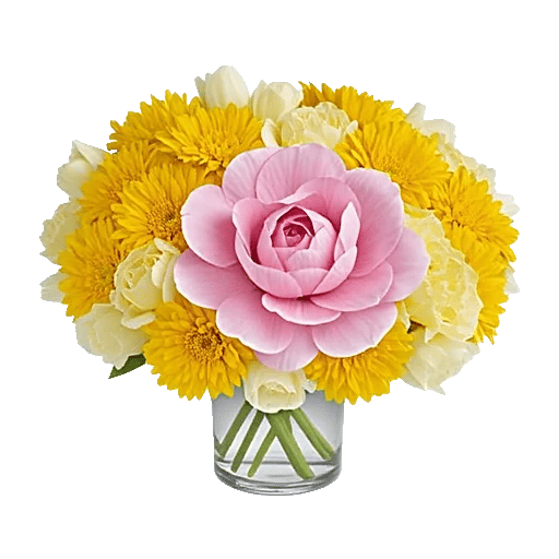 Petal Radiance Bliss