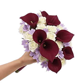Elegant Calla Lilies
