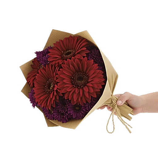 Crimson Blossom Harmony