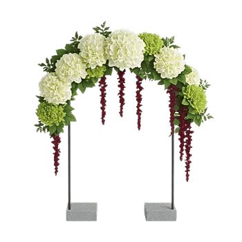 Modern White Orchids