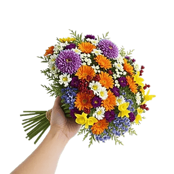 Petal Harmony Bliss