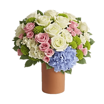 Ivory Blossom Radiance