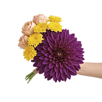 Radiant Bloom Cascade