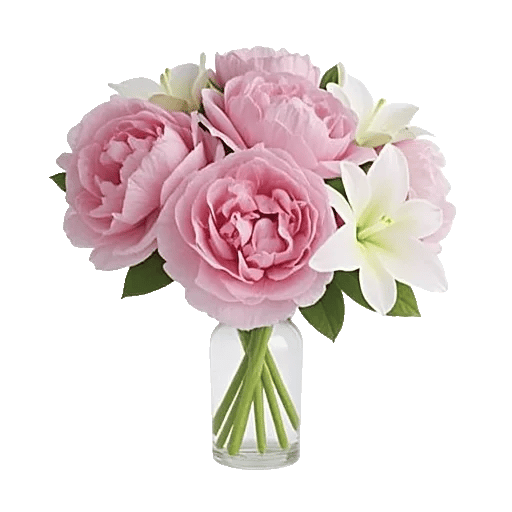 Ivory Blossom Radiance