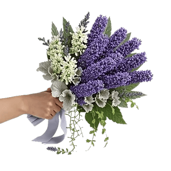 Rosemary Bloom Elegance