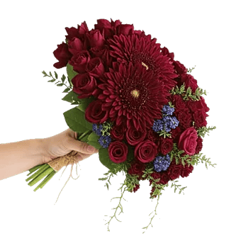 Crimson Blossom Harmony