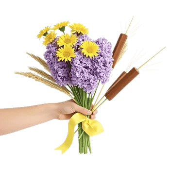 Blossom Harmony Display