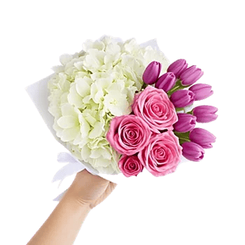 Pastel Pink Roses