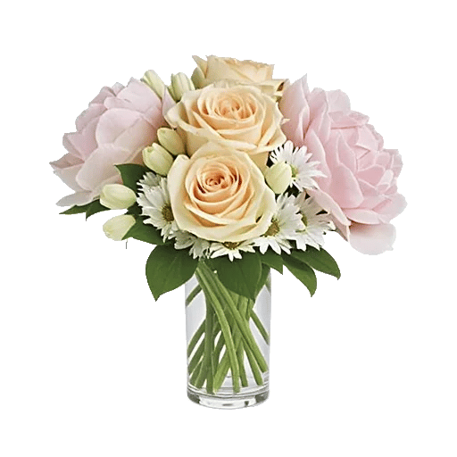 Ivory Blossom Radiance