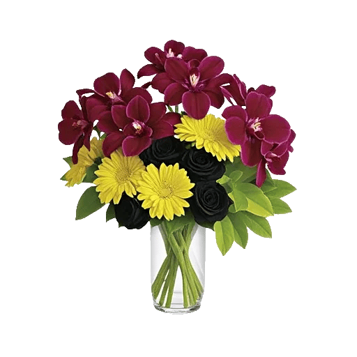 Modern White Orchids