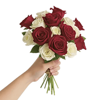 Crimson Rose Elegance