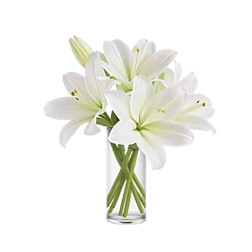 Graceful Lily Display