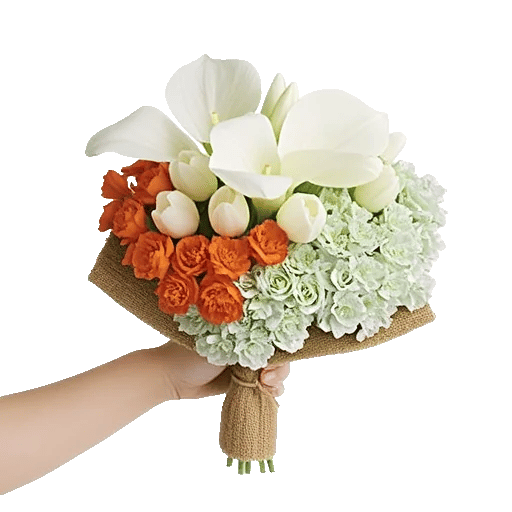 Elegant Calla Lilies