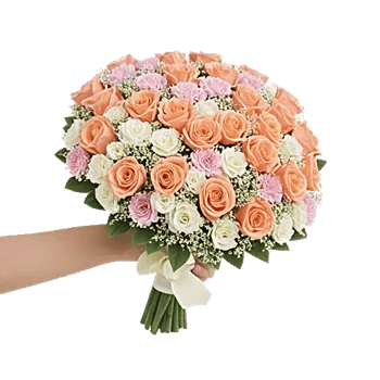 Blushing Rose Symphony