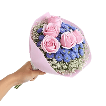 Pink Pastel Roses