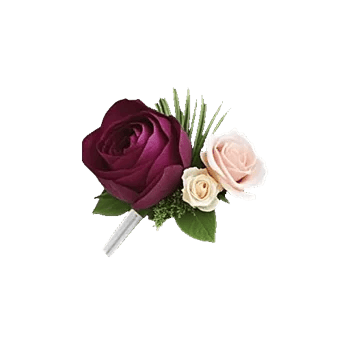 Delicate Petal Cascade