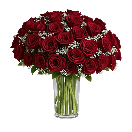 Crimson Rose Elegance