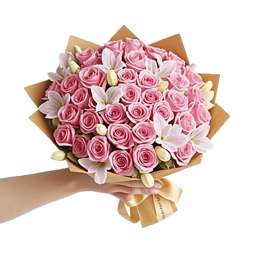 Blushing Rose Symphony