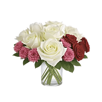 Radiant Rose Symphony