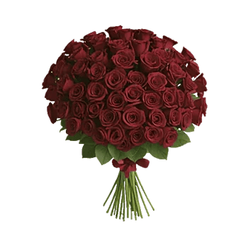 Crimson Rose Elegance