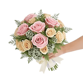 Blushing Rose Symphony
