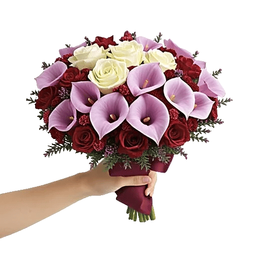 Elegant Calla Lilies