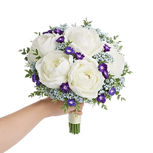 Ivory Blossom Radiance