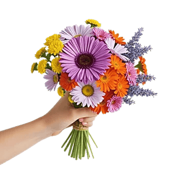 Ivory Blossom Radiance