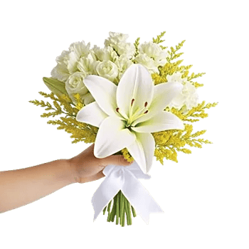 Graceful Lily Display