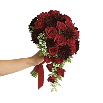 Ruby Petal Cascade