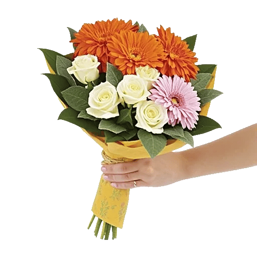 Vibrant Orange Delight