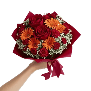 Crimson Rose Elegance