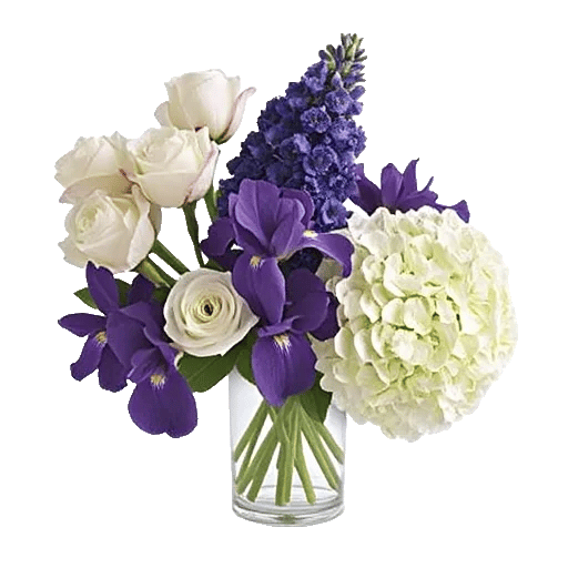 Ivory Blossom Radiance