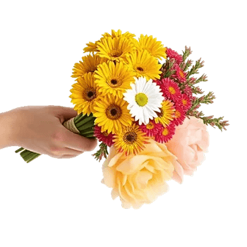 Golden Petal Harmony